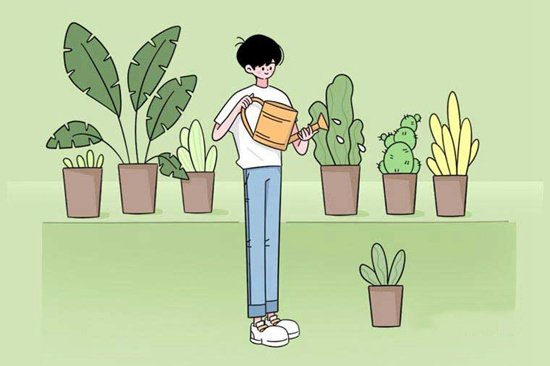 总体费用并不高昂