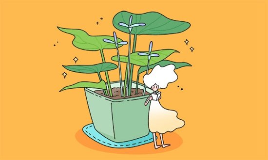 城市涉农专业pianoyogi.co